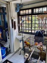 Blk 97 Commonwealth Crescent (Queenstown), HDB 3 Rooms #248648441